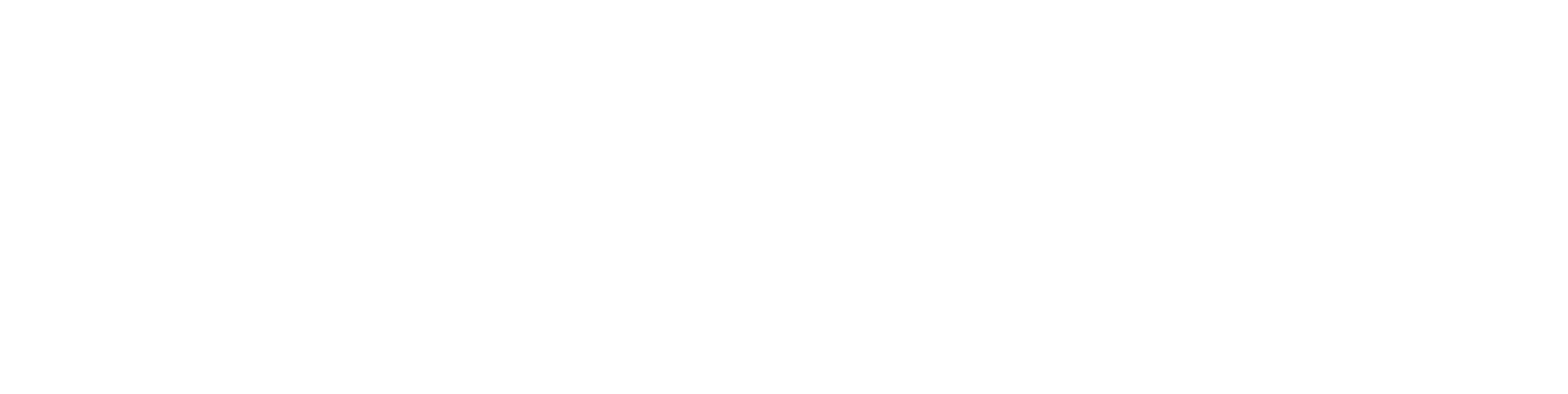 Traild-logo-colour-1